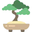 Bonsai іконка 64x64