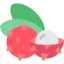 Lychee icon 64x64