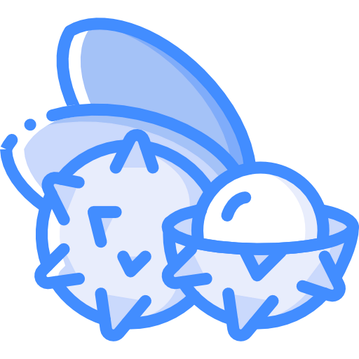 Lychee icon