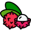 Lychee icon 64x64