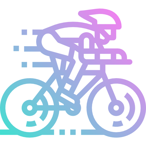 Racing icon