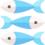 Sardines icon 64x64