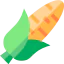 Corn icon 64x64