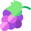 Grapes icon 64x64