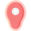 Beef icon 64x64