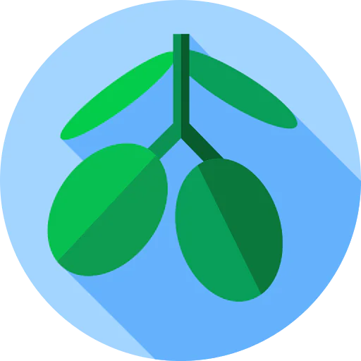 Olive icon