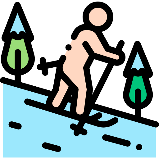 Ski icon