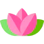Lotus icon 64x64