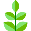 Herbal ícono 64x64