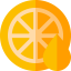 Citrus іконка 64x64