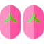 Flip flops icon 64x64