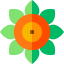 Flower icon 64x64