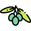 Olive icon 64x64