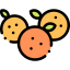 Orange icon 64x64