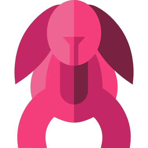 Rabbit icon