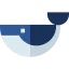 Whale icon 64x64