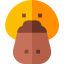 Platypus icon 64x64