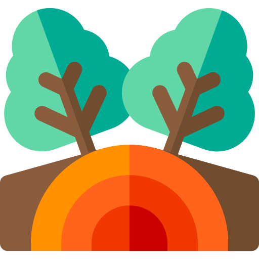 Disaster icon