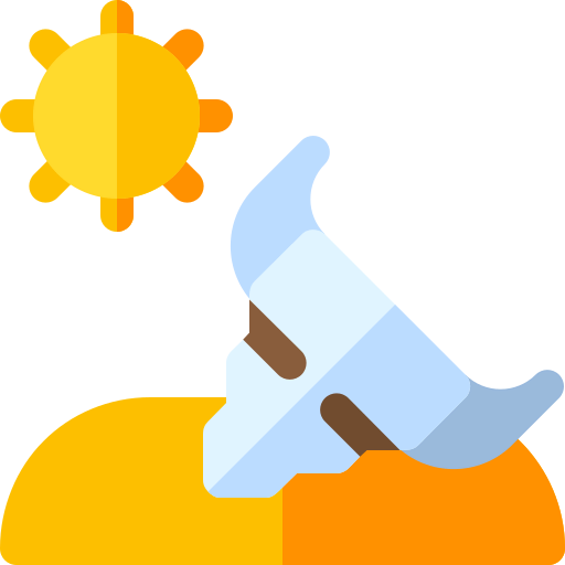 Disaster icon