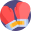 Boxing glove アイコン 64x64