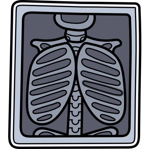 X ray icon