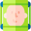 Face icon 64x64