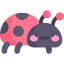 Ladybug 图标 64x64