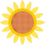 Sunflower アイコン 64x64