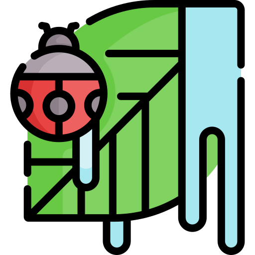 Ladybug icon
