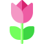 Tulip Symbol 64x64
