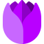Tulip Symbol 64x64