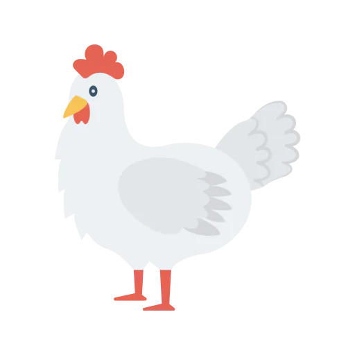 Chicken icon