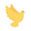 Pigeon icon 64x64