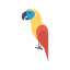 Parrot icon 64x64