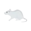 Mouse icon 64x64