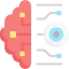 Brain icon 64x64