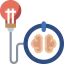 Brain icon 64x64