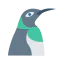 Penguin icon 64x64