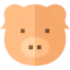 Pig icon 64x64