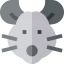 Rat icon 64x64