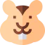 Chipmunk biểu tượng 64x64