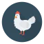 Chicken icon 64x64