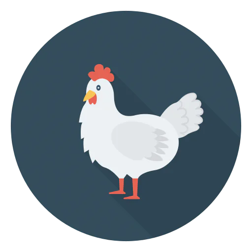 Chicken icon