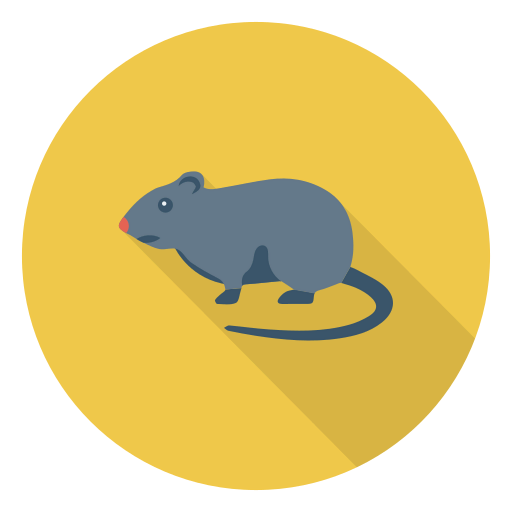 Rat icon