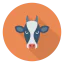 Cow icon 64x64