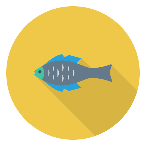 Fish 상