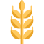 Gluten icon 64x64