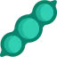 Soya icon 64x64