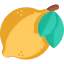 Citrus іконка 64x64