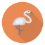 Flamingo icon 64x64